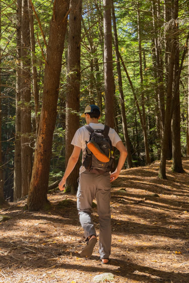 young man hiking in the woods